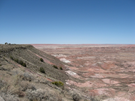 Petrified Forest Painted Desert (1)