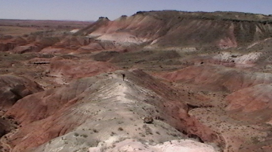 Petrified Forest Painted Desert (36)