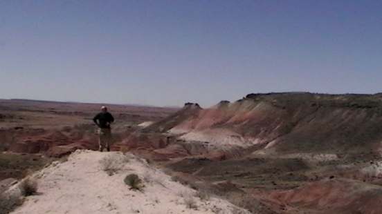 Petrified Forest Painted Desert (42)
