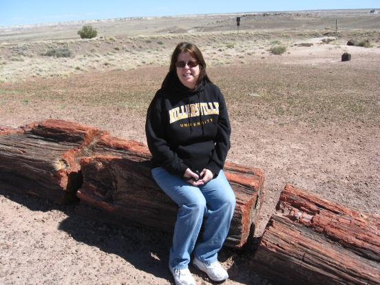 Petrified Forest Painted Desert (9)