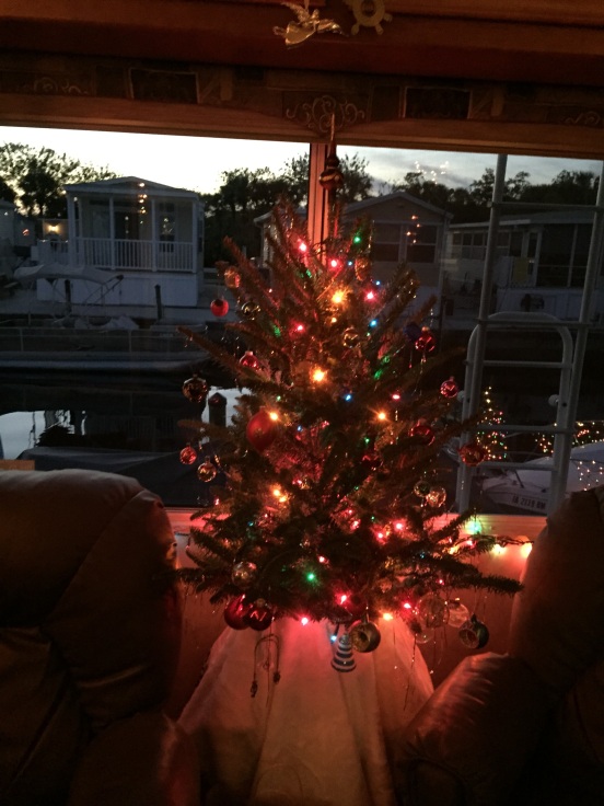 Jo and Ben's RV size Christmas tree!