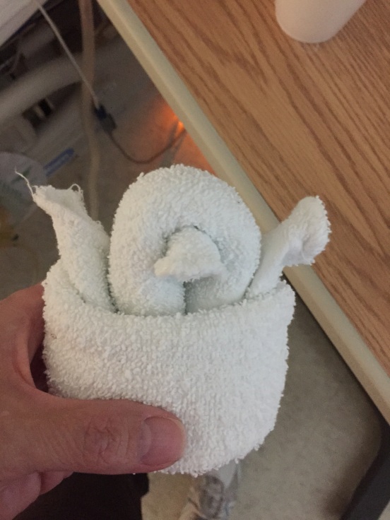 the little washcloth duck one of the nurses made for Daddy