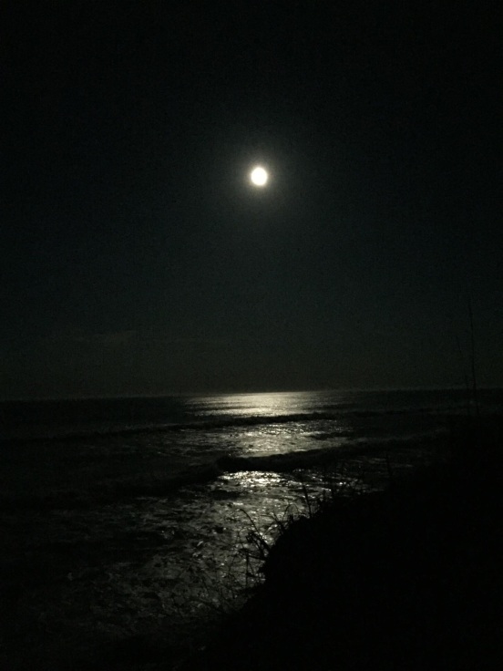 I will leave you with this one last pic of the full moon over the beach