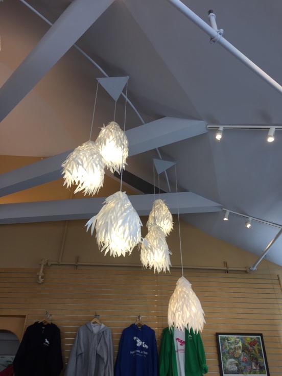 interesting lighting in the gift shop