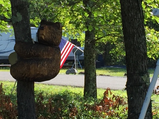 our neighbor had these cute wooden bears nailed to the trees