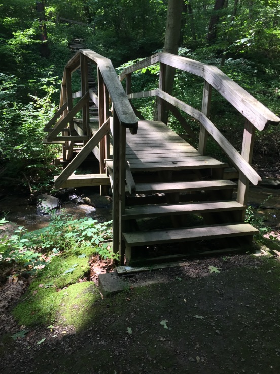 this bridge was an Eagle Scout project - very nice!