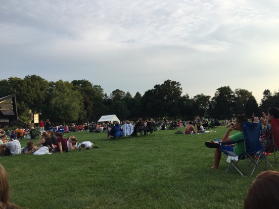 people filled the huge lawn