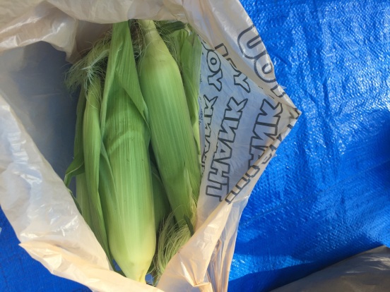 fresh Lancaster corn on the cob! The corn was so yummy this year! And only $2.50 for a bakers dozen!