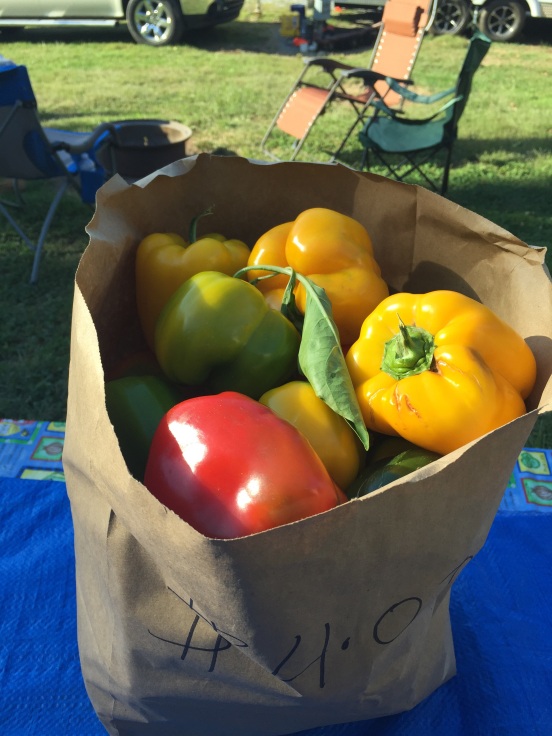 FULL bag of colored (non-green) peppers $4.00!